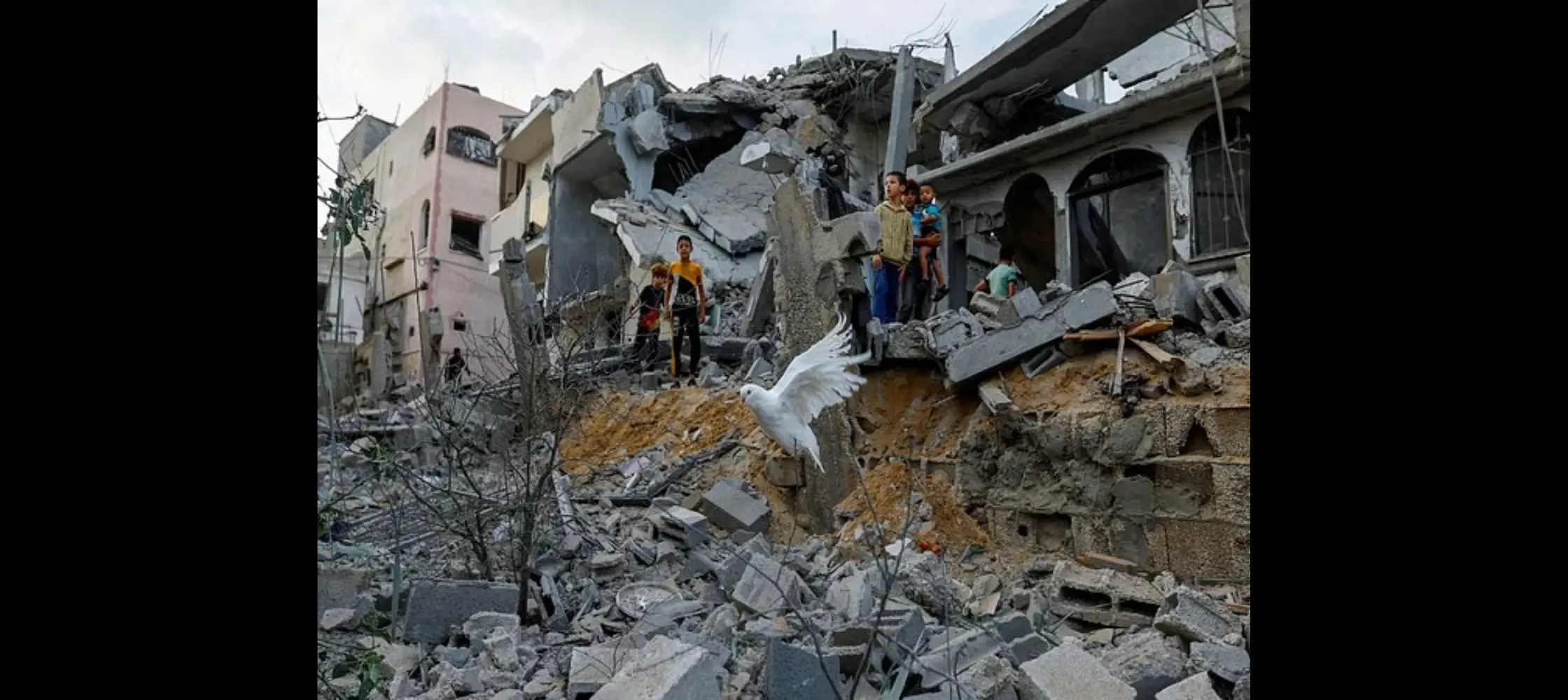 Around 70 % of Gaza homes damaged or destroyed